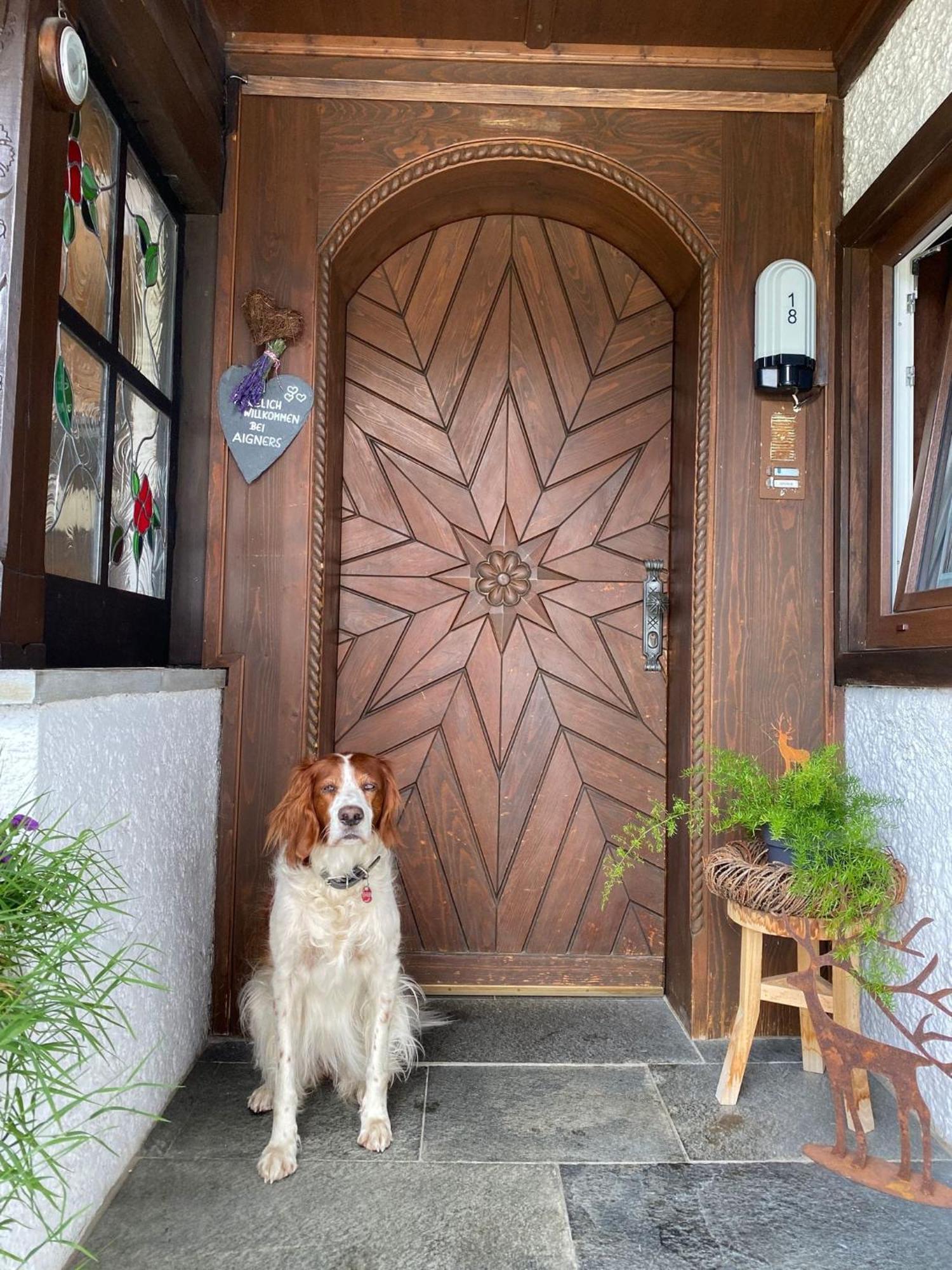 Landhaus Aigner Mittersill Exteriör bild